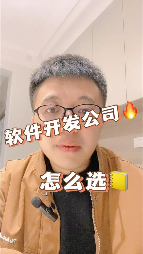 软件开发公司怎么选